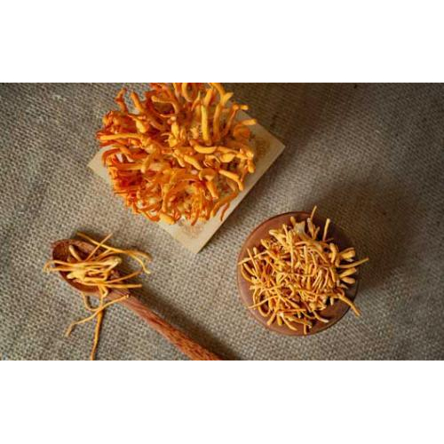 Cách dùng đông trùng hạ thảo